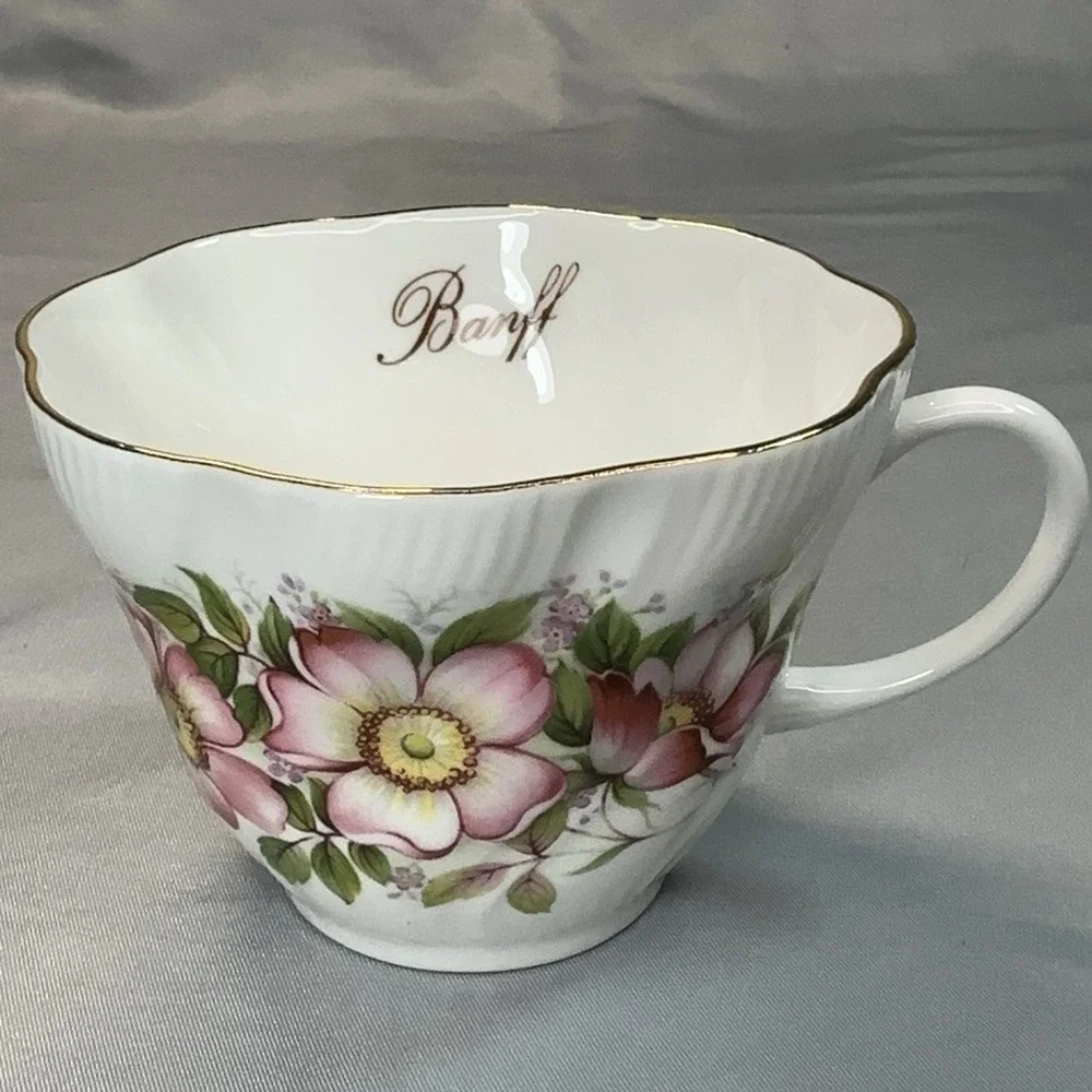 Queen's Prairie Rose‎ Tea Cup and Saucer Banff Alberta England Bone China